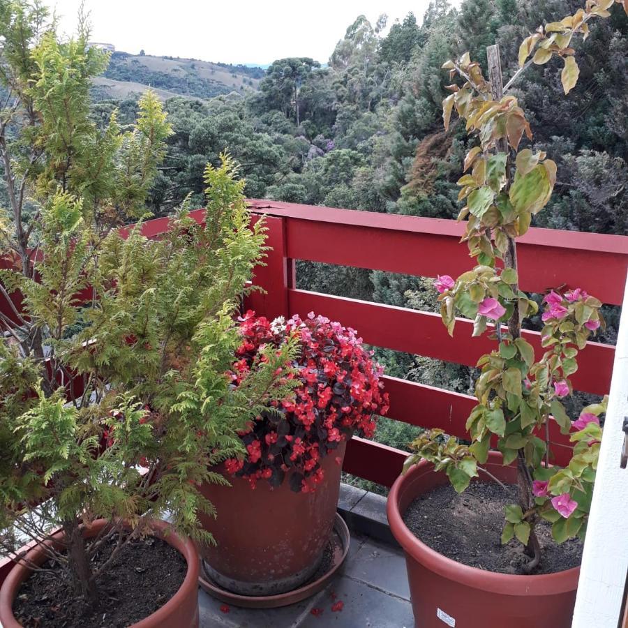 Cobertura Luxuosa De 250 M2 A 3Kms Do Centrinho Vista Espetacular Leilighet Campos do Jordão Eksteriør bilde